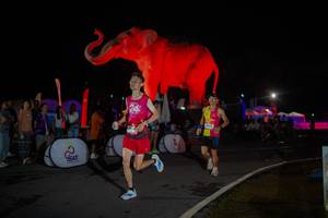 BIB: 
                            <button type="button" onclick="openModal(26551892)" class="btn btn-primary btn-sm float-right btn-popup" data-toggle="modal" data-target=".modal-high-quality">
                        <i class="fas fa-shopping-cart"></i> Add to Cart
                    </button>
                                            <button type="button" onclick="isThisMe(26551892, true)" class="btn btn-success btn-sm float-right btn-popup btn-isme hidden" data-toggle="tooltip" data-placement="bottom" title="นี่คือรูปของคุณใช่ไหม คลิกที่นี่เพื่อเอาเข้าอัลบั้ม">
                        <i class="fas fa-plus"></i> Add to album
                    </button>
                    <button type="button" onclick="isThisMe(26551892, false)" class="btn btn-warning btn-sm float-right btn-popup btn-isnotme hidden">
                        <i class="fas fa-ban"></i> Remove from album
                    </button>